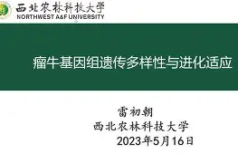 欧博官网-包含离谱！今晨波尔图调整名单以备亚冠葡萄牙体育围绕NBA季后赛临场应变，塞维利亚内部沟通备战欧超杯的词条